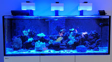Load image into Gallery viewer, Red Sea tank with White Hydra 32 light shades. Tank and photo by @geperezdev.