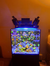 Load image into Gallery viewer, A Reef Aquarium with Kessil A360X and Red Sea Light Shades, aquarium by Enrico.