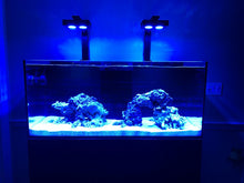 Load image into Gallery viewer, Two lights over a fish tank without a light shade.