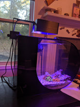 Load image into Gallery viewer, @Plauri Fluval Nano Lit Tank
