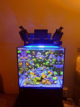 Load image into Gallery viewer, Reef Aquarium with Kessil A360X and Red Sea Light Shades, aquarium by Enrico
