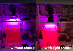 Before and after photo of using the Kessil H160 light shade which prevents light bleed and excessive algae growth on skimmers and other surfaces.