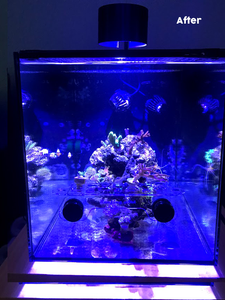 A light about fish tank after adding the Aquaknight V2 light shade in black, with no glare.