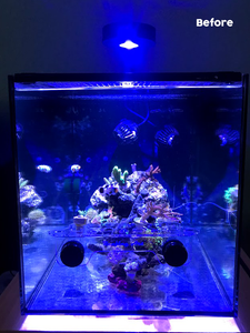 A light above fish tank before adding light shade, exhibiting a lot of glare.