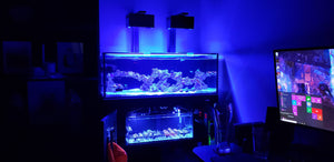 Two 3d Printed AI Hydra 26 HD Light shades in black installed over a fish tank.