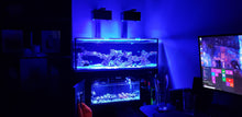 Load image into Gallery viewer, Two black 3d Printed AI Hydra 26 HD Light shades over a fish tank.
