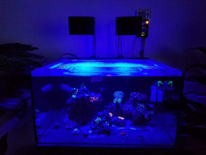 Two black 3d printed AI Prime light shades over fish tank. 